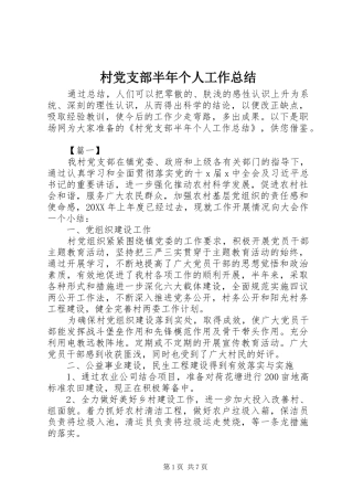 2024年村党支部半年个人工作总结