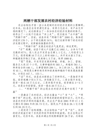 2024年两栖干部发展农村经济经验材料