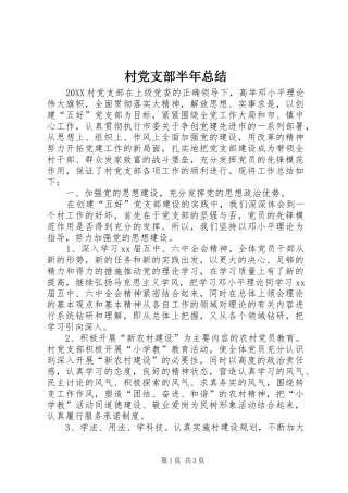 2024年村党支部半年总结