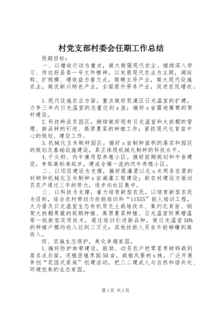 2024年村党支部村委会任期工作总结