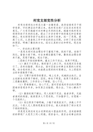 2024年村党支部党性分析