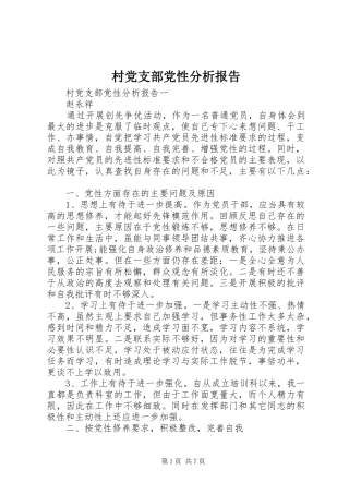 2024年村党支部党性分析报告