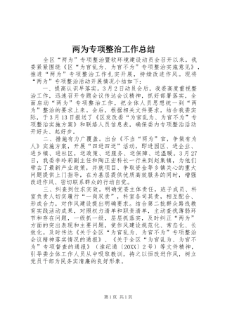 2024年两为专项整治工作总结