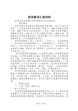 2024年两项督导汇报材料