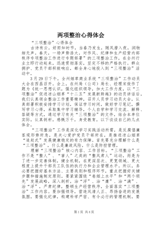 2024年两项整治心得体会
