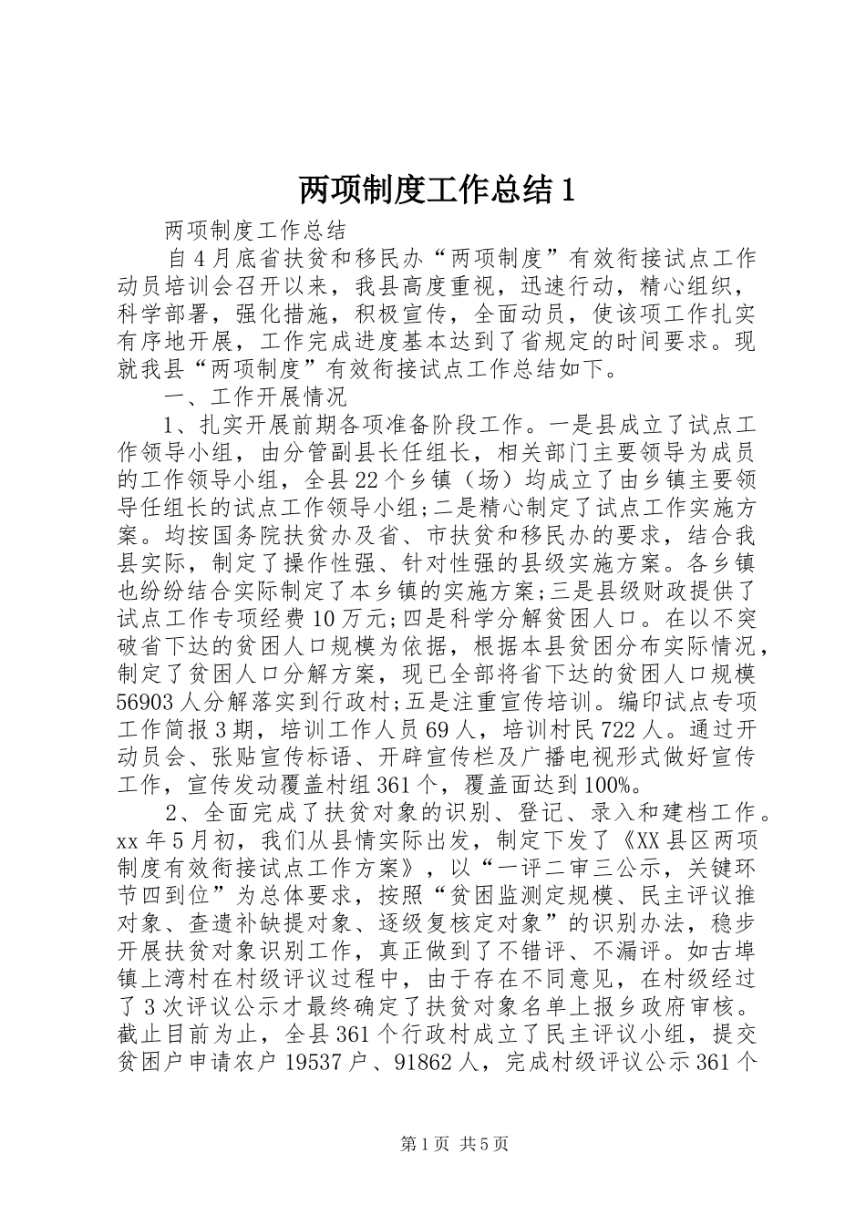 2024年两项制度工作总结_第1页