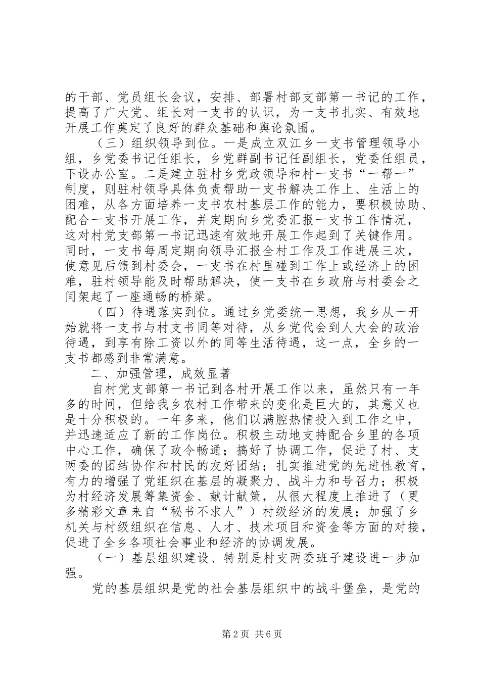 2024年村党支部第一书记工作总结_第2页