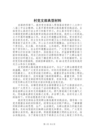 2024年村党支部典型材料