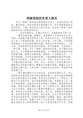 2024年两新党组织负责人报告