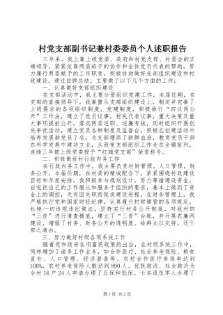 2024年村党支部副书记兼村委委员个人述职报告