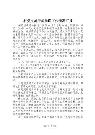 2024年村党支部干部挂职工作情况汇报