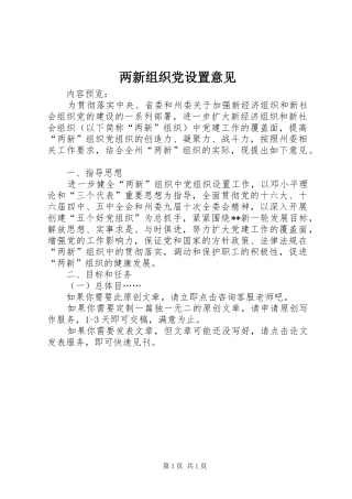 2024年两新组织党设置意见