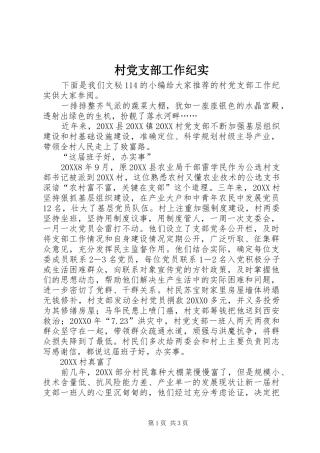 2024年村党支部工作纪实
