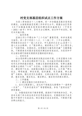 2024年村党支部基层组织试点工作方案