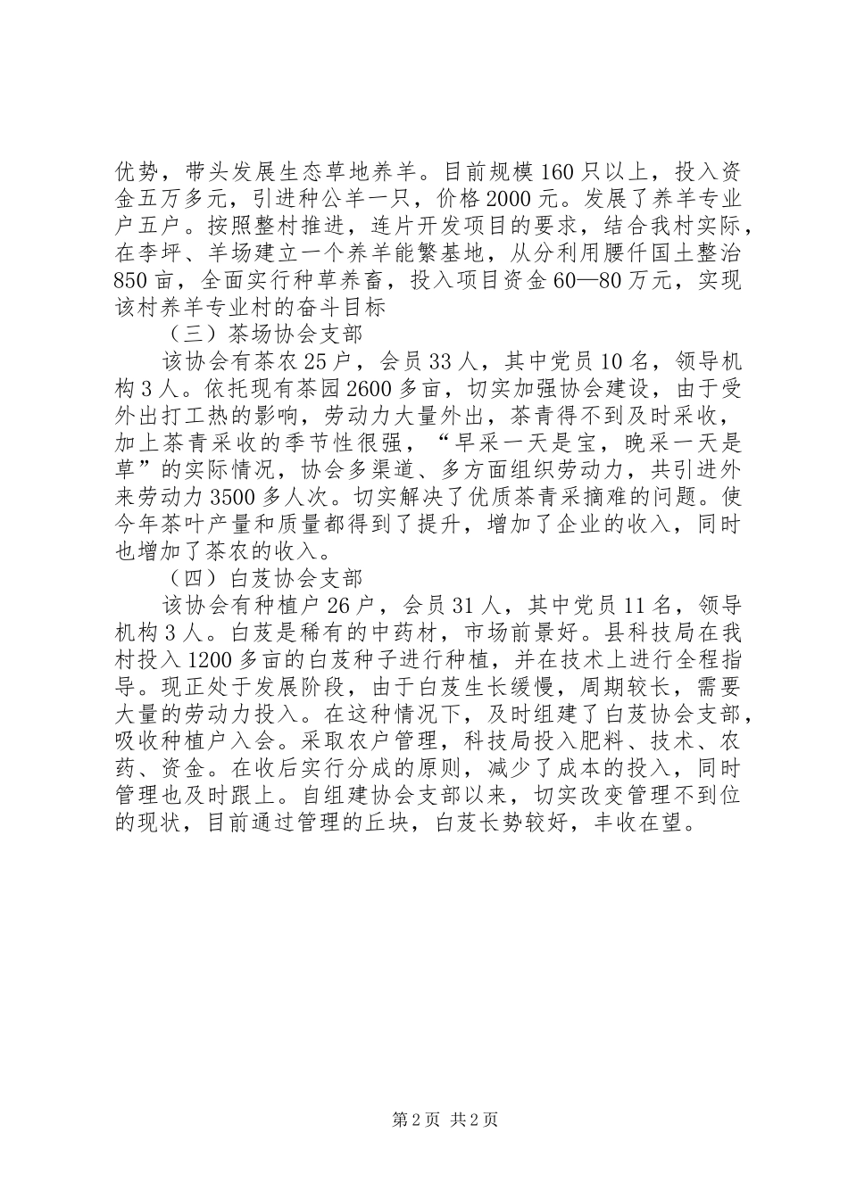 2024年村党支部开展工作的典型材料_第2页
