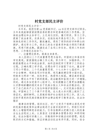 2024年村党支部民主评价