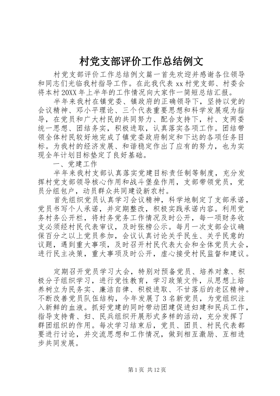 2024年村党支部评价工作总结例文_第1页