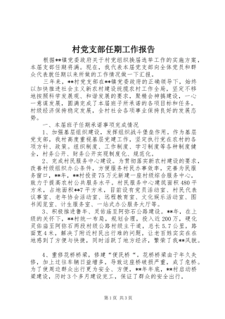 2024年村党支部任期工作报告