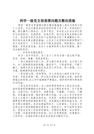 2024年两学一做党支部查摆问题及整改措施