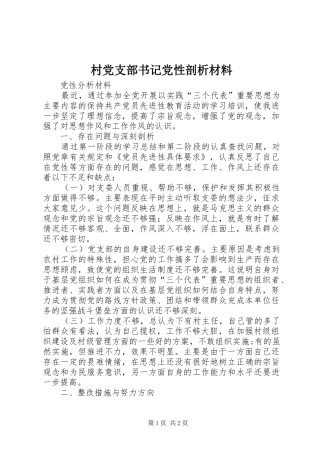 2024年村党支部书记党性剖析材料