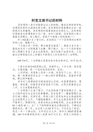 2024年村党支部书记的材料