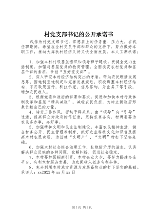 2024年村党支部书记的公开承诺书