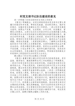 2024年村党支部书记队伍建设的意见