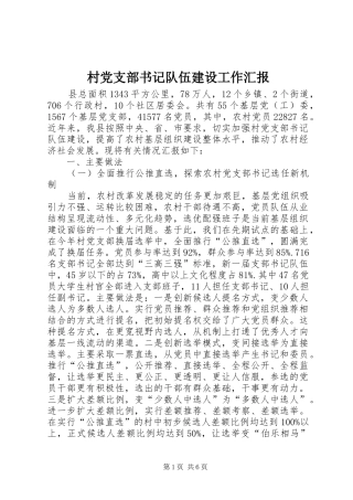 2024年村党支部书记队伍建设工作汇报