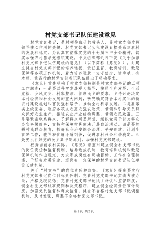 2024年村党支部书记队伍建设意见