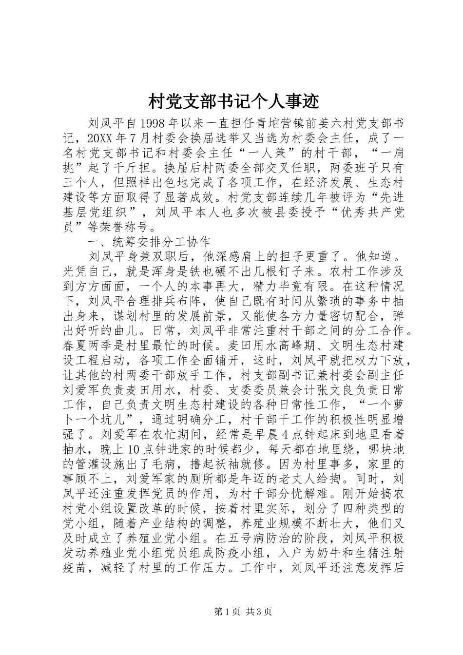 2024年村党支部书记个人事迹_第1页