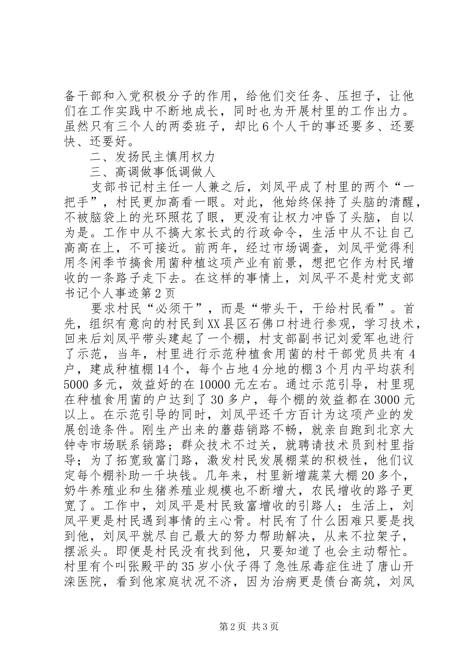 2024年村党支部书记个人事迹_第2页