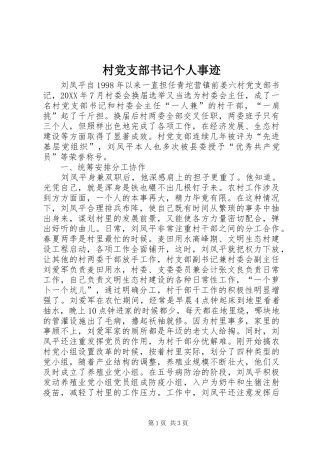 2024年村党支部书记个人事迹