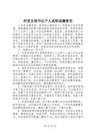 2024年村党支部书记个人述职述廉报告