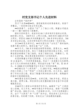 2024年村党支部书记个人先进材料