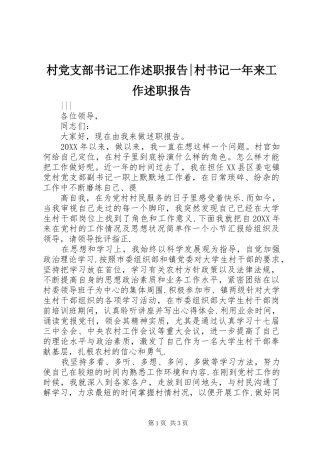 2024年村党支部书记工作述职报告村书记一年来工作述职报告