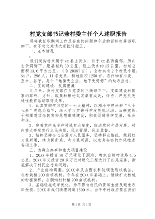 2024年村党支部书记兼村委主任个人述职报告