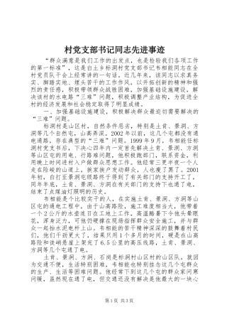 2024年村党支部书记同志先进事迹