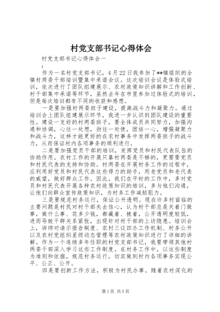 2024年村党支部书记心得体会