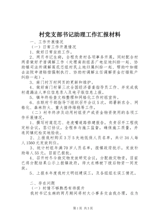 2024年村党支部书记助理工作汇报材料