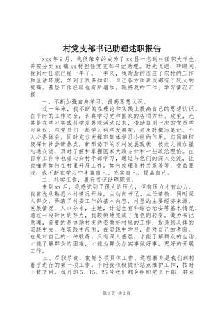 2024年村党支部书记助理述职报告