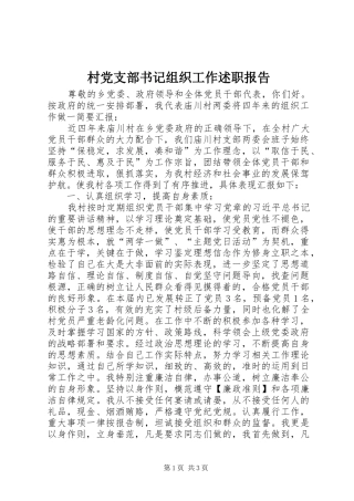 2024年村党支部书记组织工作述职报告