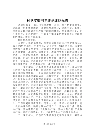 2024年村党支部书年终记述职报告