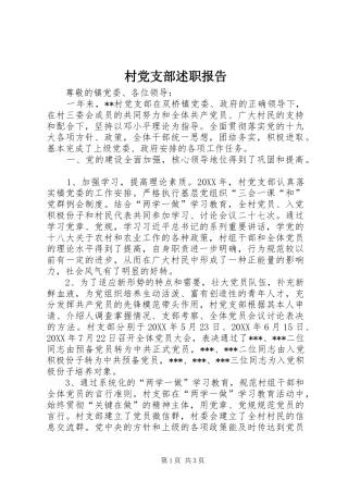 2024年村党支部述职报告