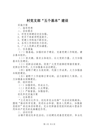 2024年村党支部五个基本建设