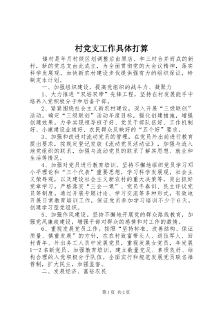 2024年村党支工作具体打算