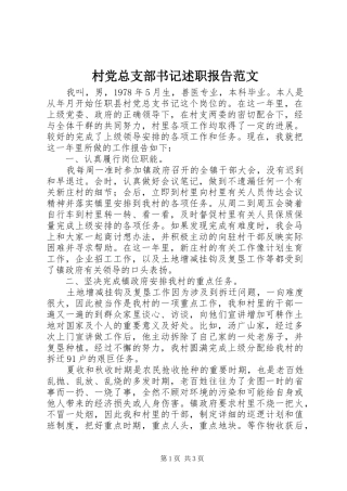 2024年村党总支部书记述职报告范文