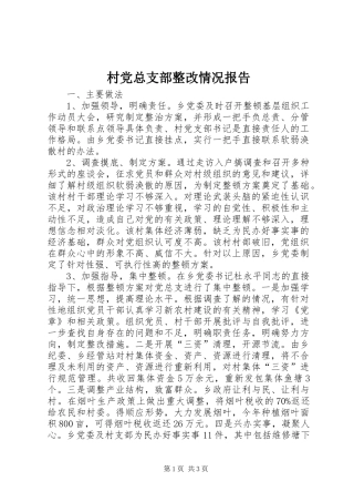 2024年村党总支部整改情况报告