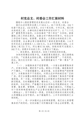 2024年村党总支村委会工作汇报材料