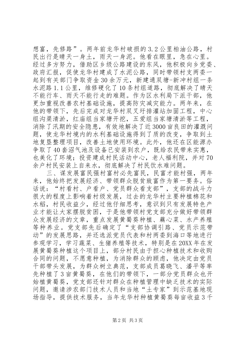 2024年村党总支第一书记典型材料_第2页