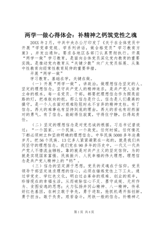 2024年两学一做心得体会补精神之钙筑党性之魂